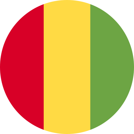 Guinea 15 days - 5gb